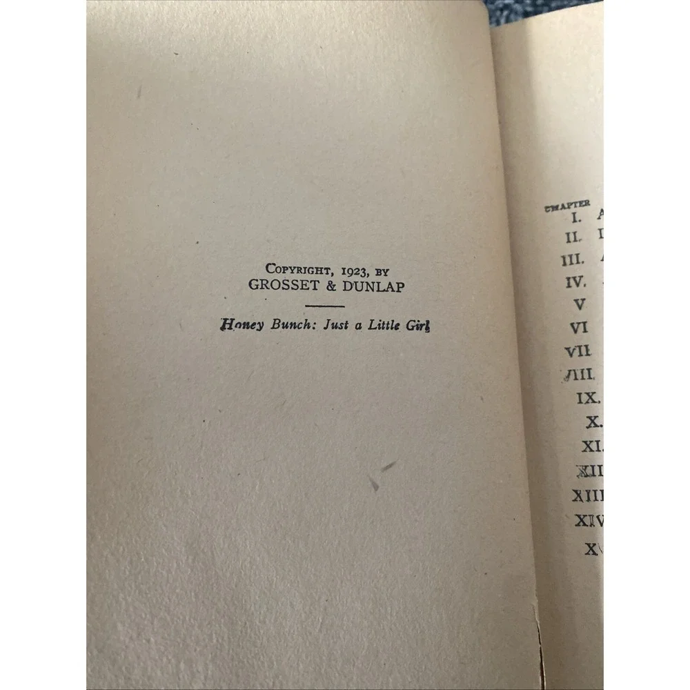 HONEY BUNCH BOOK LOT (2) HELEN LOUISE THORNDYKE ~ JUST A LITTLE GIRL & PET SHOW